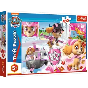 PUZZLE 100 TREFL SKAY IN ACTION 16368