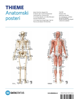ANATOMSKI POSTERI KOSTI I MIŠIĆI