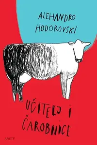 UČITELJ I ČAROBNICE