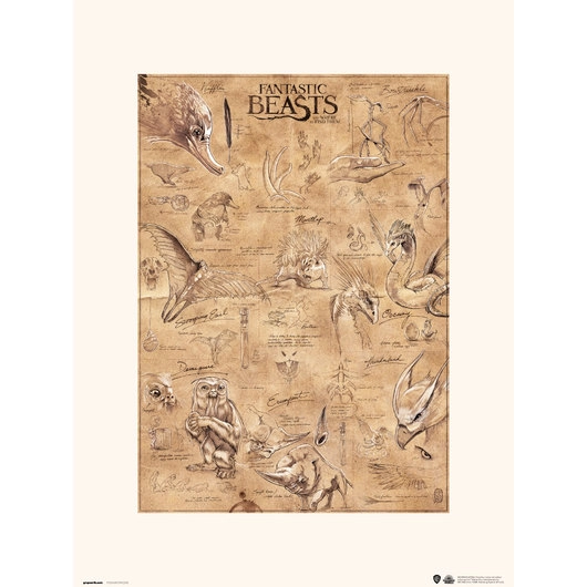 POSTER ERIK FANTASTIC BEASTS ANIMALS P30X40CM0206