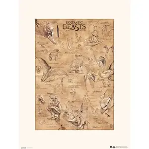POSTER ERIK FANTASTIC BEASTS ANIMALS P30X40CM0206