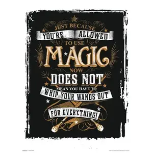 POSTER ERIK HP MAGIC P30X40CM0010