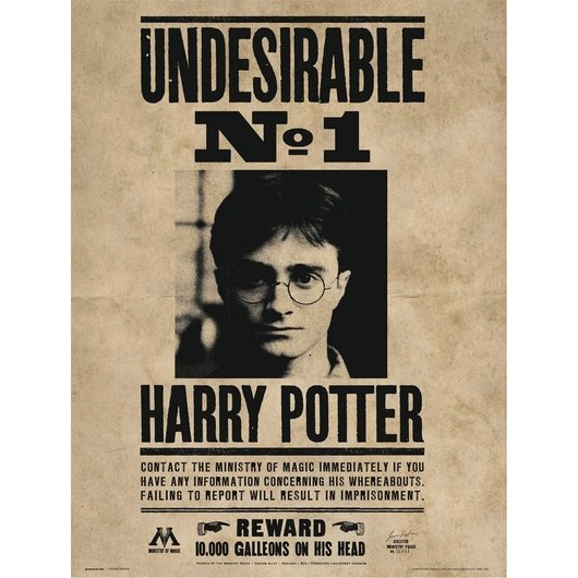 POSTER ERIK HP UNDESIRABLE No1 P30X40CM0006