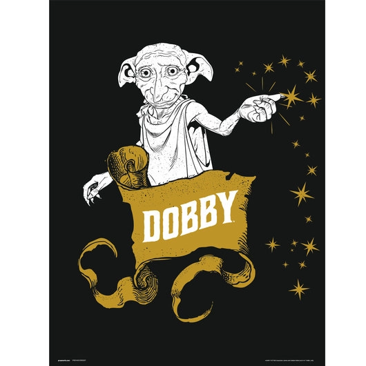 POSTER ERIK HP DOBBY P30X40CM0007