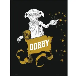 POSTER ERIK HP DOBBY P30X40CM0007