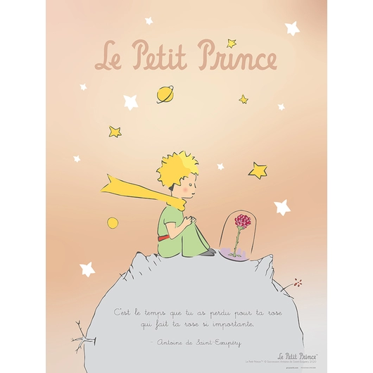 POSTER ERIK THE LITTLE PRINCE P30X40CM0368