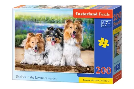 PUZZLE 200 CASTOR SHELTIES IN THE LAVENDER GARDEN B-222117