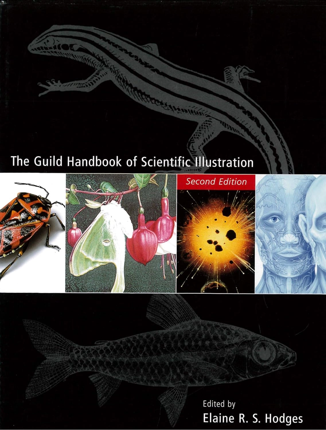 THE GUILD HANDBOOK