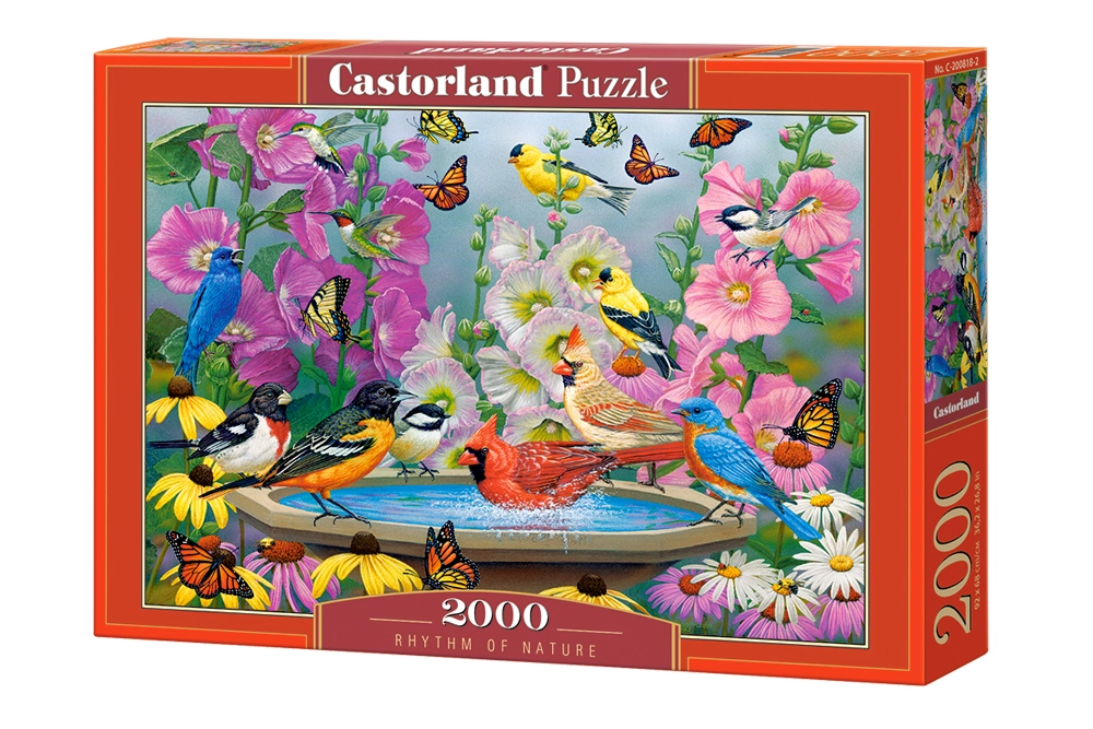 PUZZLE 2000 CASTOR RHYTHM OF NATURE C-200818-2