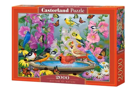 PUZZLE 2000 CASTOR RHYTHM OF NATURE C-200818-2