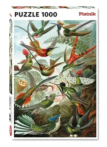 PUZZLE 1000 PIATNIK HAECKEL HUMMINGBIRDS