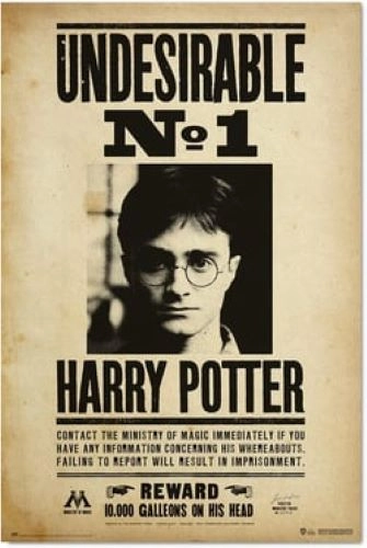 POSTER ERIK HARRY POTTER UNDESIDERABLE N1