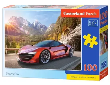PUZZLE 100 CASTOR SPORTS CARB-111107