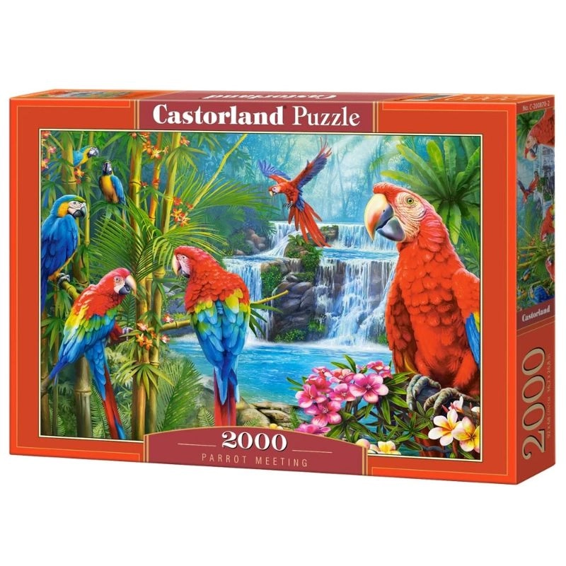 PUZZLE 2000 CASTOR PARROT MEETING C-200870-2