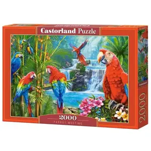 PUZZLE 2000 CASTOR PARROT MEETING C-200870-2