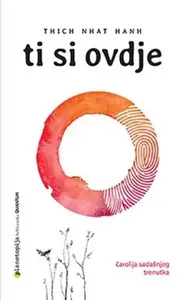TI SI OVDJE