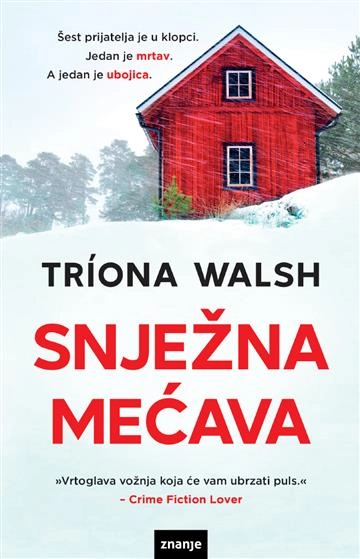 SNJEŽNA MEĆAVA