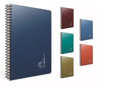 SVESKA SPIRALA A4 80L KARO GIPTA PLATINUM 5685