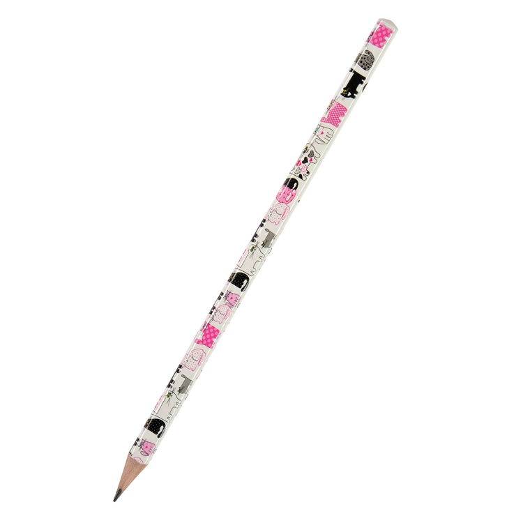 GRAFITNA OLOVKA HB VJ HAPPY GRAPHIX PEMBLE 21-0030/05