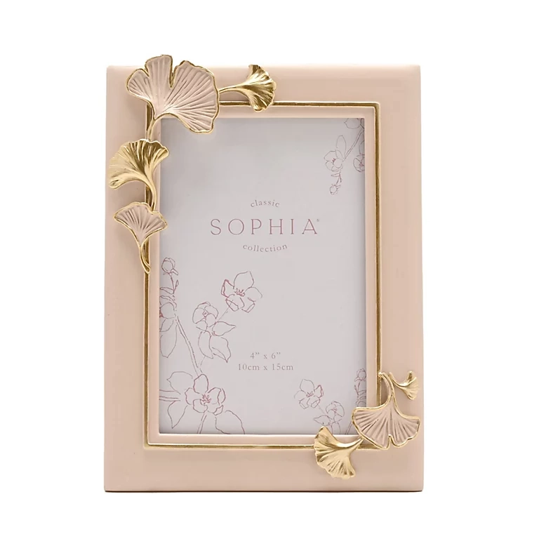 RAM ZA SLIKE WIDDOP SOPHIA GINKO BLUSH 4X6 SP3515F46