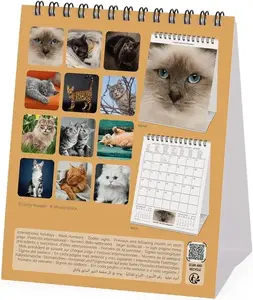 KALENDAR STONI LEGAMI 2025 CATS 12x14,5 CAL250144
