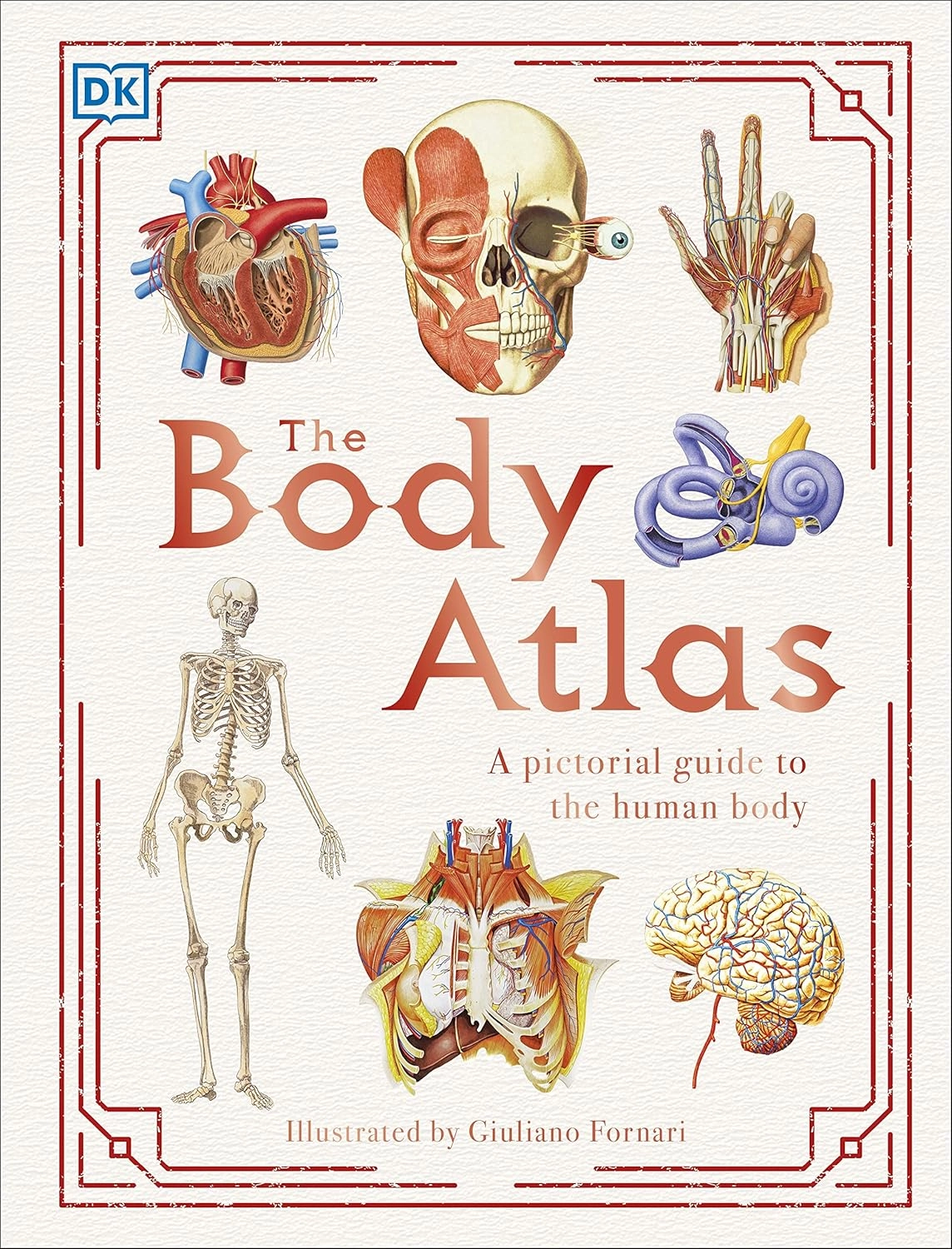 THE BODY ATLAS : A PICTORIAL GUIDE TO THE HUMAN BODY