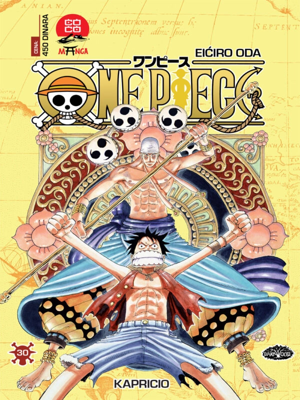 ONE PIECE 30