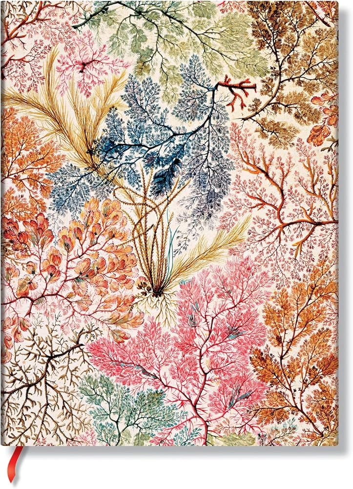 ROKOVNIK PAPERBLANKS WILLIAM KILBURN MIDI LINED FB9904-8