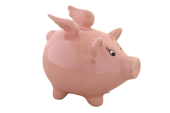 KASICA ZA NOVAC ITEM 16,5X11,5X15 PORK IRIDESCENT HU-203362