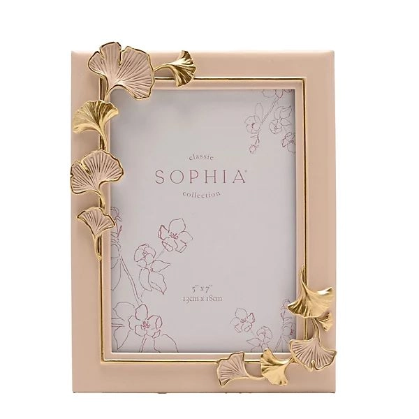 RAM ZA SLIKE WIDDOP GINKO BLUSH 5X7 SP3515F57