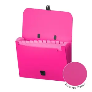 FOLDER SA RUČKOM I 12 PREGRADA A4 ERICHKRAUSE MATT NEON PINK 50461