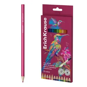 PLASTIČNE BOJICE ERICHKRAUSE COLOR FRIENDS 3MM 61804 12/1