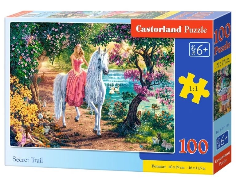 PUZZLE 100 CASTOR SECRET TRAIL B-111114
