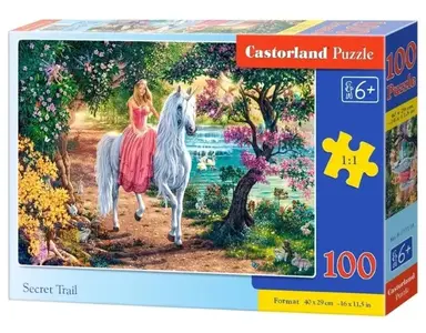 PUZZLE 100 CASTOR SECRET TRAIL B-111114