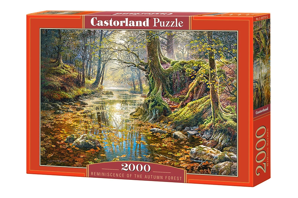 PUZZLE 2000 CASTOR REMININSCENCE OF THE AUTUMN FOREST C-200757-2