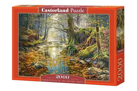 PUZZLE 2000 CASTOR REMININSCENCE OF THE AUTUMN FOREST C-200757-2