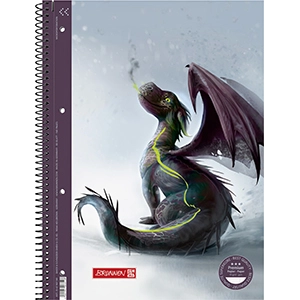 SVESKA SPIRALA A4 90G DIKTO BRUNNEN DRAGO RUL27 1067927941