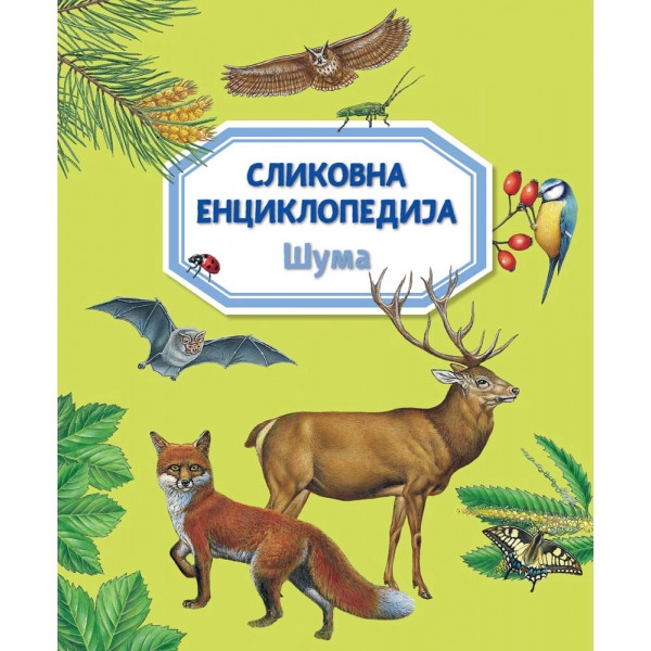 SLIKOVNA ENCIKLOPEDIJA: ŠUMA