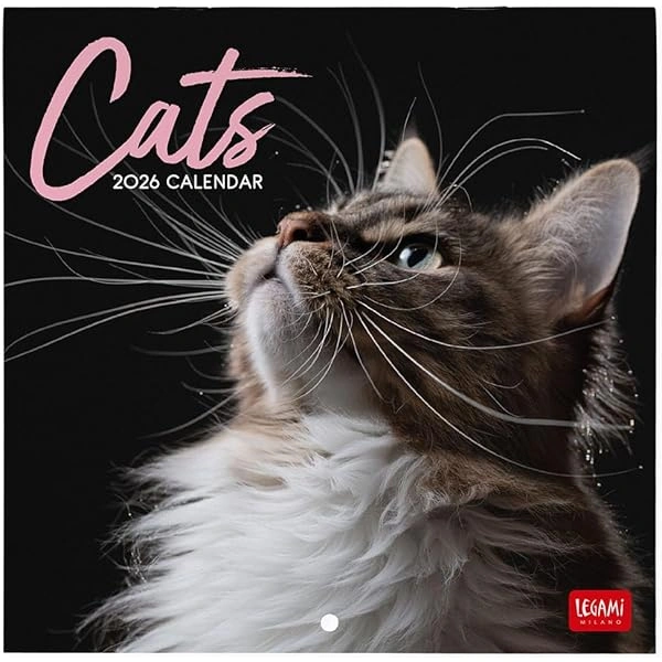 KALENDAR ZIDNI LEGAMI 2026 CATS 30X29 CAL260004
