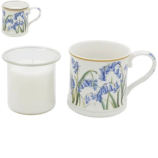 SVIJEĆA ŠOLJA LESSER PANSIES LP76668