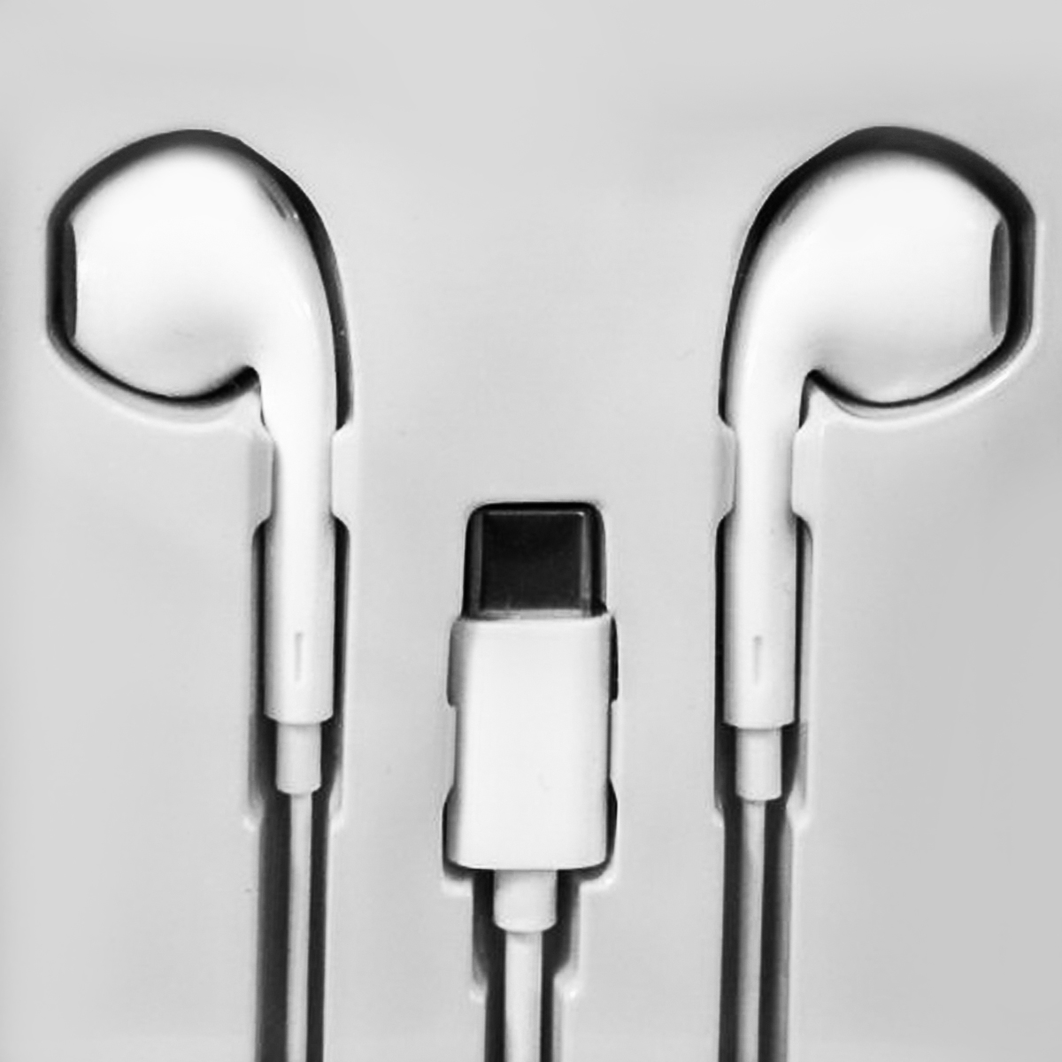 K2537_1.jpg