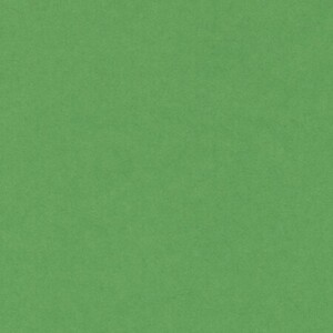 PAPIR HAMER 70X100 220g 1/10 ZELENI 56830