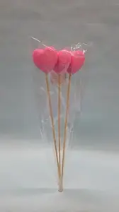 SRCE PIK 5.3CM CD26165 PAK1/3