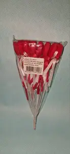 SRCE PIK SA MASNICOM CD26031 PAK1/12