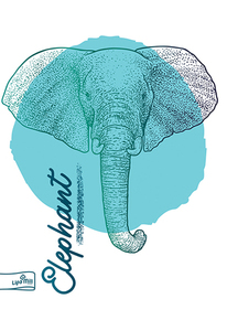 SVESKA A4 MP DIKTO 40L 80gr METALLIC ANIMALS MAR-MAR