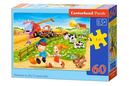PUZLE SUMMER IN THE COUNTRYSIDE 60PCS B-06878