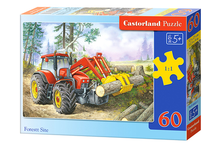 PUZZLE FOREST SITE 60PCS B-06601