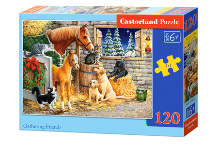 PUZZLE GATHERING FRINEDS 120PCS B-13340