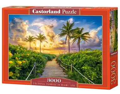 PUZZLE COLORFUL SUNRISE IN MIAMI, USA 3000PCS C-300617