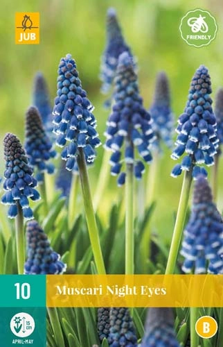 LUKOVICA MUSCARI NIGHT EYES 7/8,10 KOM
